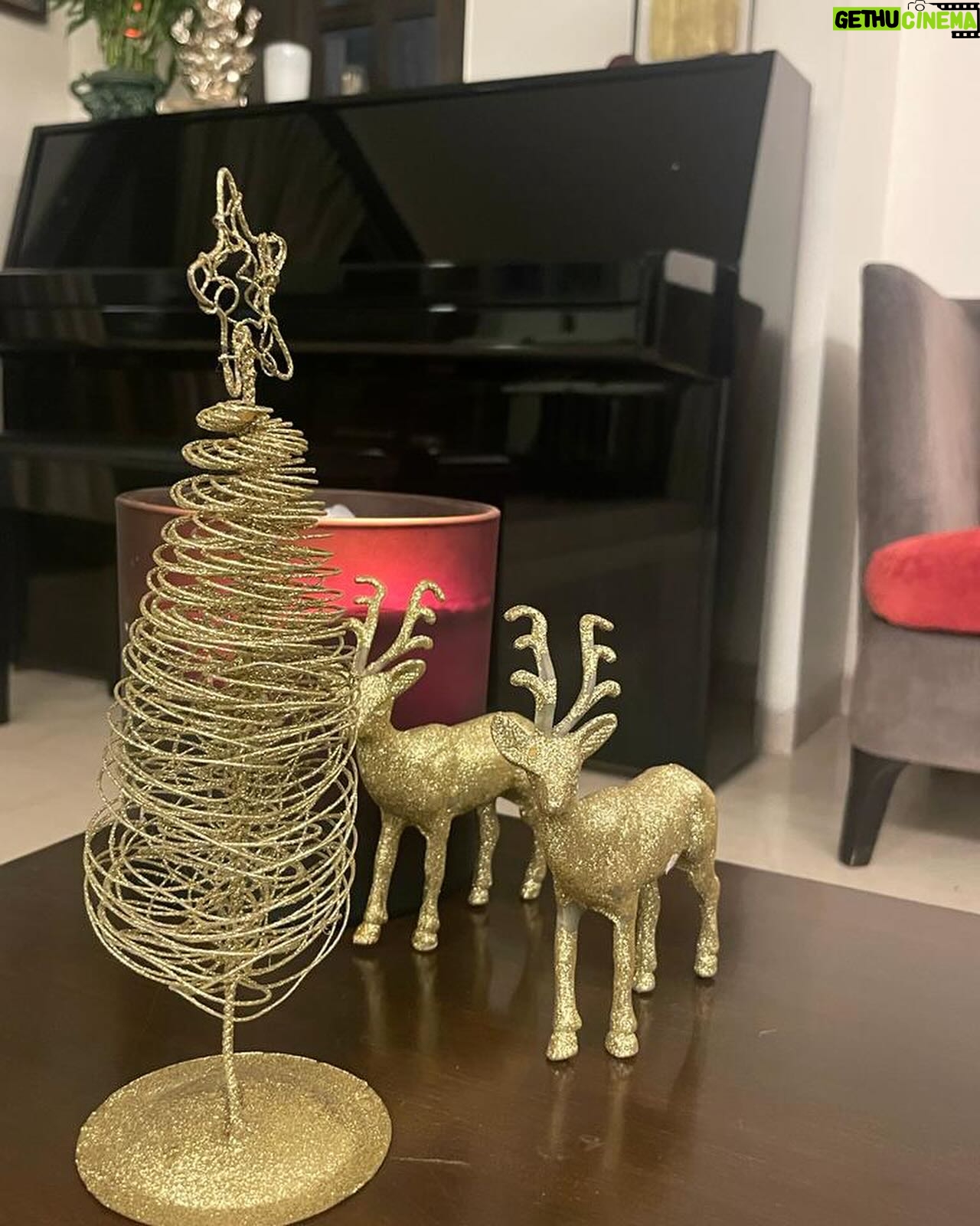 Sharman Joshi - 42.2K Likes - Its the Best time of the Year
Merry Christmas
#christmaseve #merrychristmas #happyholidays #december #happiness #joy
