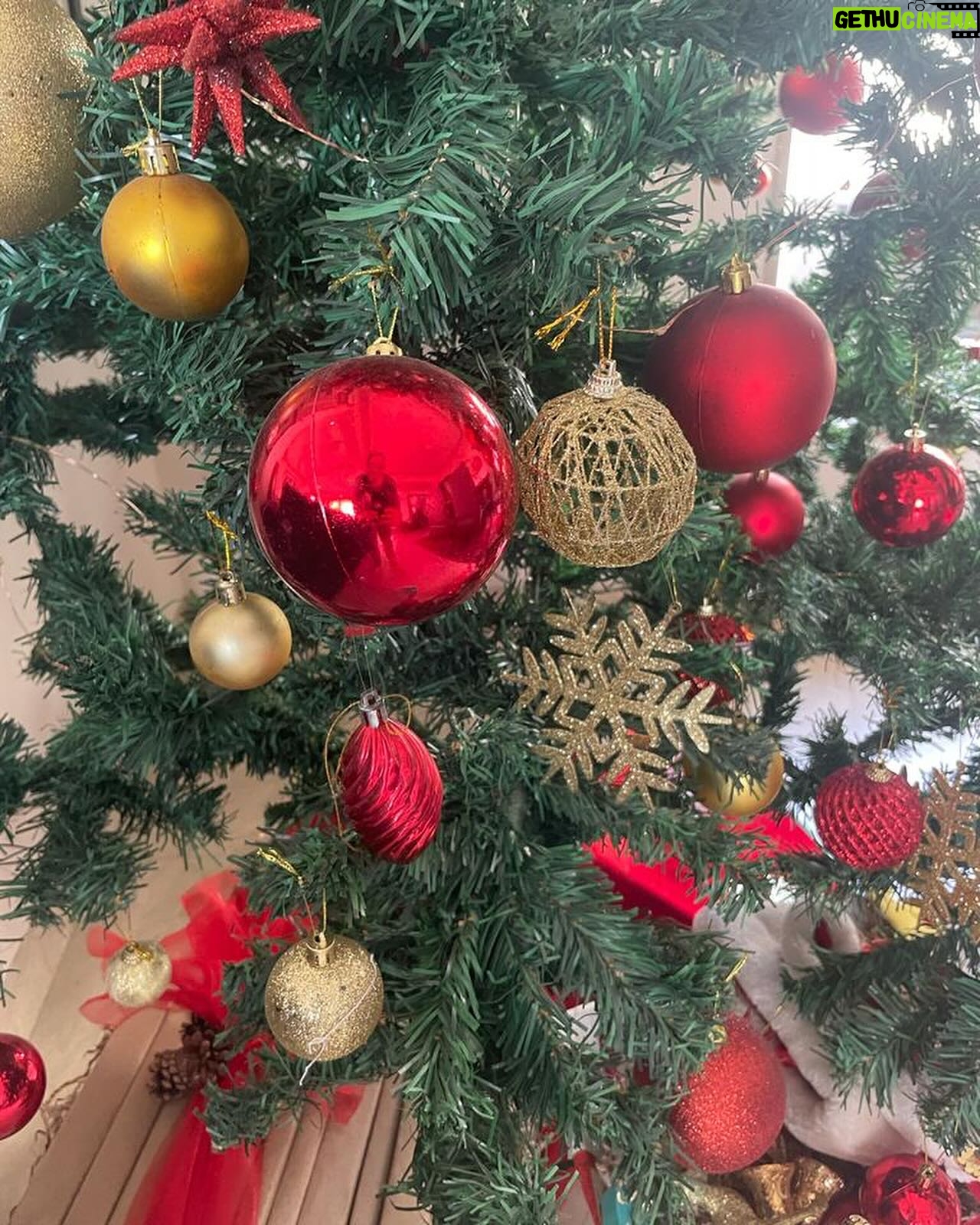 Sharman Joshi - 42.2K Likes - Its the Best time of the Year
Merry Christmas
#christmaseve #merrychristmas #happyholidays #december #happiness #joy