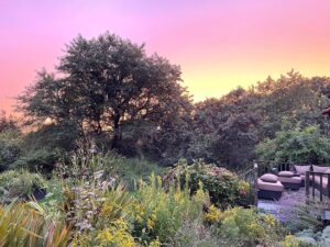 Sharon Bialy Instagram - Completely untouched iPhone photo. Wow, sunset after a rainy day . Just stunning