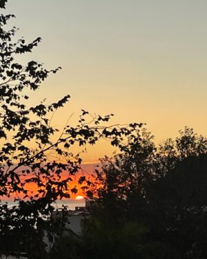 Sharon Bialy Instagram - Goodbye day. Some days are harder than others- but this reminds me of the beauty the world has to offer us - and as Vivian Leigh said in Gone with the Wind “Tomorrow  is another day”