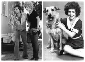 Sharon Gless Instagram - Who wore it best?