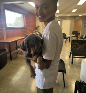 Shaun Dixon Instagram - Hanging out with @americanxlbullypuppies. #puppies#americanbully #workingdog #industrydog #setdogs