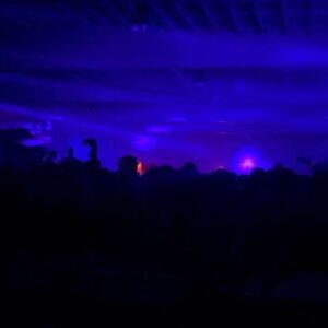 Shaun Ross Instagram - BABYYYYYY @thepartybyostbahnhof was a time !!!!