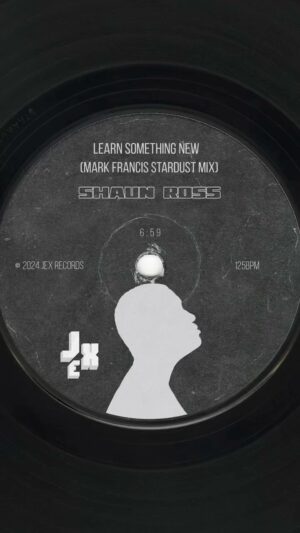 Shaun Ross Instagram - LEARN SOMETHING NEW @partystardust MIX out now by @markhfrancis 

LINK IN BIO