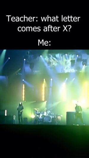 Shavo Odadjian Instagram - This is hilarious! 🤣 Y……..?
.
.
Credit - @dreaming_of_screamiing 
.
.
.
.
#systemofadown