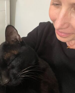 Shawnee Smith Instagram - 😔we will miss you kitty kitty… thank you for everything

The cat became a dragon 
And perched heavy on the wing of my plane 
Big yellow eyes trained on me 
“Go, girl, fly” he’ll say
Over and over again 
Until the wheels are finally racing 
On air 
Jesus walk on water 
Spirits surround 
You’re almost there
“And I’ll always be here” 
In love 
Your Samurai, black as night 
White as Snow 
Go wherever you need to go 
You’ll always find your way back home
  Verve