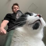 Shayne Topp