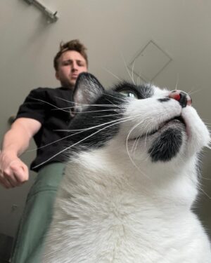 Shayne Topp Instagram - my vibes lately