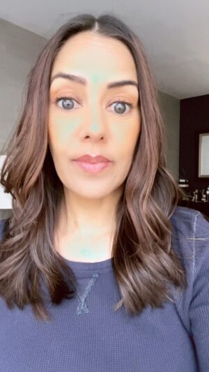 Sheetal Sheth Instagram - For the people in the back. 🙏🏽

#votethemout #gundam #congress #gunsense