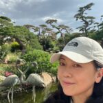 Sheren Tang
