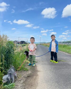 Shido Nakamura Instagram - エルとプーちゃんと
#柴犬
#トイプードル
#夏幹
#陽喜