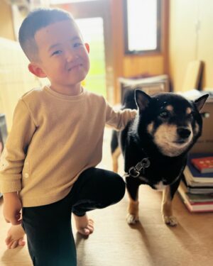 Shido Nakamura Instagram - エルとプーちゃんと
#柴犬
#トイプードル
#夏幹
#陽喜