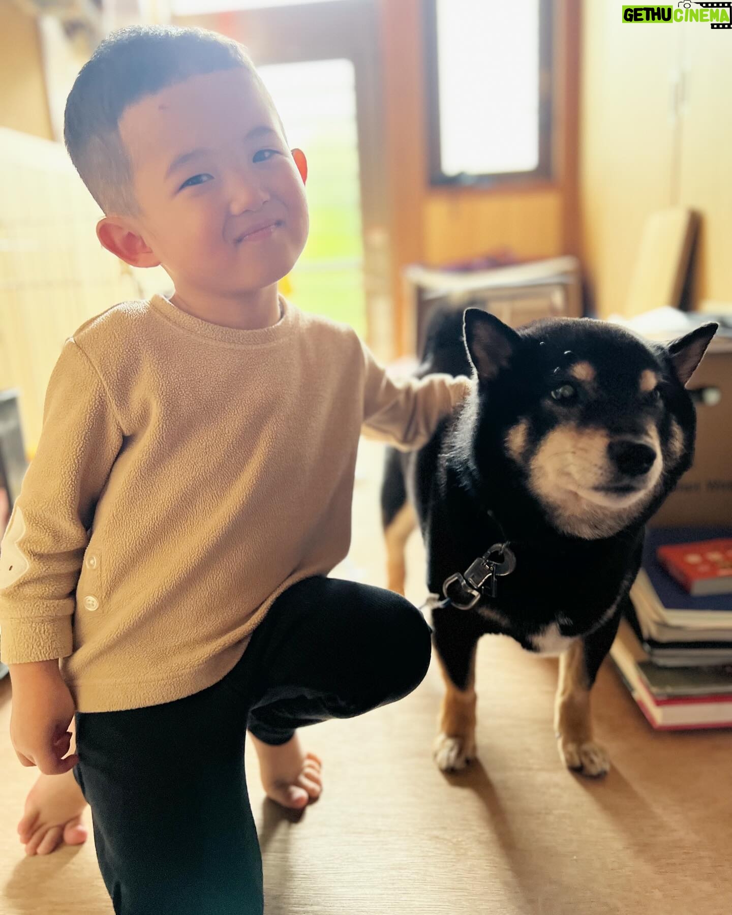 Shido Nakamura - 20.2K Likes - エルとプーちゃんと
#柴犬
#トイプードル
#夏幹
#陽喜