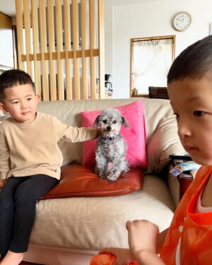 Shido Nakamura Instagram - エルとプーちゃんと
#柴犬
#トイプードル
#夏幹
#陽喜