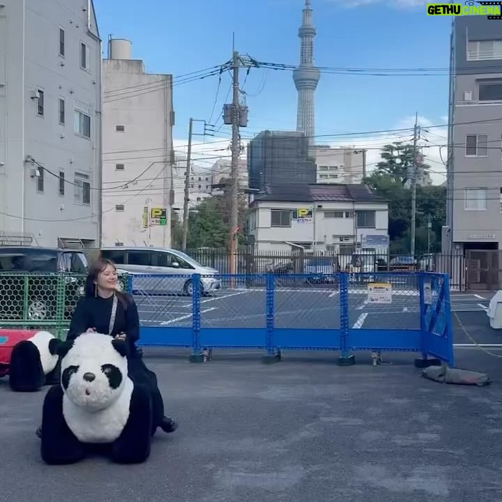 Shiho - 1.2K Likes - 愛車