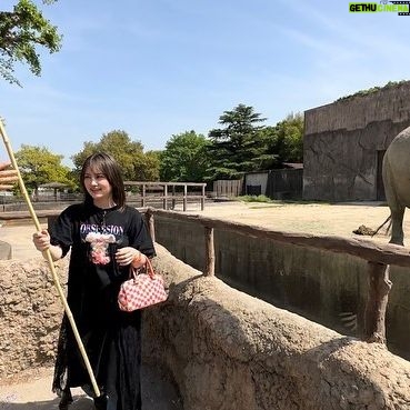 Shiho - 1.3K Likes - 東武動物公園ほんと好き🐘
#東武動物公園 #tobuzoo