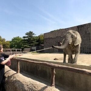 Shiho Instagram - 東武動物公園ほんと好き🐘
#東武動物公園 #tobuzoo