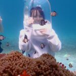 Shiho
