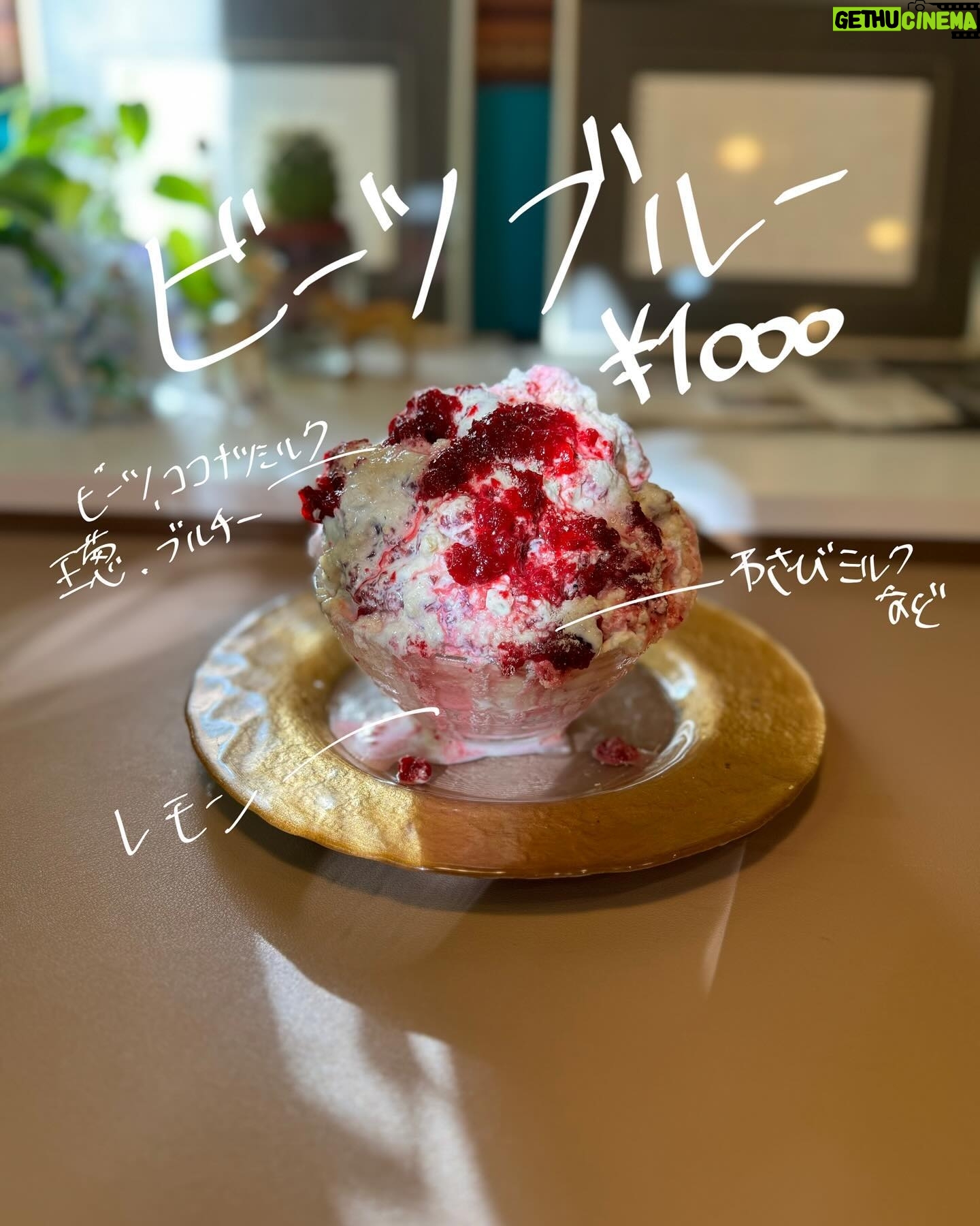 Shiki Aoki - 3.4K Likes - ⚠️時差投稿です⚠️
#甘味処いちょうの木 @kontomoko
12月中旬
現在は終売しているメニューが含まれます🙇
18日から一週間ほどお休みされるらしく、お休み前に食い溜めしておかねば!ということで通い詰める日々
◆オリーブ(26)
一杯目は以前から気になりつつも後回しにしてしまっていたオリーブさん
オリーブの実力は紫芋と玉葱ブルーの中身で既にわかってはいたのですが、メインキャストとして打ち出されているオリーブさんは初
トップのカスタード、オリーブ、ブルーチーズゾーンをまずはひとくち…
見た目はシンプルながらもオリーブの底力にひっくり返りました😭🙏(もちろん脳内で)
美味いのはわかってたけど、これもまた想像以上だった…
カスタードの甘みにブルーチーズのクセとオリーブの塩味がめちゃくちゃマッチしてる
トップにたっぷりオリーブがかかってるんだけど、食べ進めていくとまた更に中からオリーブが…!🫶
どこ食べてもオリーブが出てくるのイイ☝️ちゃんと主人公してる
底はカシスからノンアル変更していただきましたが、アーモンドミルク?ココナッツミルク?
とにかく甘めで少し香ばしさを感じるナッツみのあるソースが
これがまた甘めだったのがわい氏的ドツボでした😭☝️
オリーブがやっぱり塩味寄りの素材だから、甘み欲しかったんだよな〜ってタイミングで底のミルキーな甘さがちゃんとお迎えに来てくれる
比較的シンプルな構成のイメージだったけどドチャクソ好みな一杯でした!!この日の推し氷!
◆ビーツブルー(27)
2杯目は最近出た新作氷3種の中から、気になってきたブルー一族の新入りを
ビーツ自体をちゃんと食べた事なくて「ボルシチの赤いやつ」くらいの認識しかなく、なんなら芋類だと思ってましたスミマセンデシタ
そんな初めてのビーツ体験ですが、ほんのり土っぽさありつつしっかり食感!
ビーツ自体の味の主張は弱めで香る程度って感じだったけど、やっぱり野菜同士だからか玉葱と合う🥹
玉葱の旨みがグッとビーツの良さを引き上げてくれてる感(玉葱最強なのでは?)
そしていつまでもなくブルチが最高に美味い
この日も大きめのブルチの塊に遭遇してベリーハッピー🤤🫶今日の運勢は大吉です!!
途中からのフレークとわさびミルクゾーンで甘さがプラスされて良い味変
底はレモンで甘みより酸味強めだけど、トップから降りてきたココナッツミルクやブルチ、わさびミルクたちと混ざって酸っぱさがマイルドになってとても食べやすいさっぱり味〆な一杯
これもいちょうさんならではの味って感じで、めちゃくちゃ美味しかったです!ビーツ舐めてた…!
◆クリスマスピーカンパイ(28)
一旦ここでお気に入りのリピ氷を挟む作戦
やはりひとくち目からの感動がやばい
甘々パイサクサクナッツザクザク蜂蜜とろとろ最高☝️
まじでピーカンパイ系好きすぎる
甘党的に王道に感動する味に仕上がってる
クリスマスピーカンパイは名前的にこのシーズン限定だと思うので、終わるまでにあと一回は食べたいと思っております
中のラムレーズンもトップの甘々ゾーンに全然負けてなくて程よい酸味
底はココナッツミルク?アーモンドミルク?違ってる可能性大ですが、ミルキーな甘めのソースで前に食べた時とはまた違う味わい😭✨うめぇ!!
美味すぎて食べてる間一生笑顔になってしまう味です
最後まで大好きしかない
◆黒胡麻ブルー(29)
この日は胃袋拡大してるのか4杯目余裕のコンディションだったので、大好きなブルー一族からチョイス
黒胡麻をすりつぶしたつぶつぶの残ったペースト感あるもったりソースがたっぷりかかってます🤤
パルメザンもしっかり感じつつ、ブルチは他のブルー一族より主張控えめに感じたかも?
黒胡麻ソース自体は結構甘さ控えめであっさりなお味で食べやすかったです!罪悪感少なめ!
その分中のわさびミルクが甘めなんだけど、しっかりわさびが香っててこれまた絶妙な塩梅
底は濁り酒からノンアルに変更していただいて、
抹茶?玉露?緑のお茶!!舌ばかですいやせん!!!!多分緑茶っぽい和な風味!
黒胡麻、わさび、そして緑茶〆で和でまとまりつつ、チーズが良い仕事をしてて味を平坦なだけで終わらせない、そんな印象でした☝️
全体的にブルーシリーズではあっさりさっぱりな一杯
4杯目に選んでも重くならずに良きでした🤤🙏
余談ですが、僕はどれをどの順番で食べるかという部分をかなり重視してかき氷をいつも選んでおります
大体3杯〜調子が良ければ4杯食べるので、
1杯目から3杯目、もしくは4杯目までの流れがめちゃくちゃ大事🥺
3杯目の締めはなるべく重めもったり系、なおかつお気に入りの氷で締める傾向があり、
更に4杯目いけるなってコンディションの場合は、3杯目より優先順位の低いお気に入り、もしくは1杯目より優先順位の低かった食べたことのない氷…などなど
とにかく1杯目から最後の1杯までの流れを含めてその日どの氷を食べるか決めてます🫶
これが毎度めちゃくちゃ悩んでて、お店で食べながら決めることも多いんですけどね…
僕にとってかき氷はコース料理と同じ感覚なんだなぁと感じた今日このごろでした
どれも美味しかったです🙇お邪魔しました!
#かき氷
