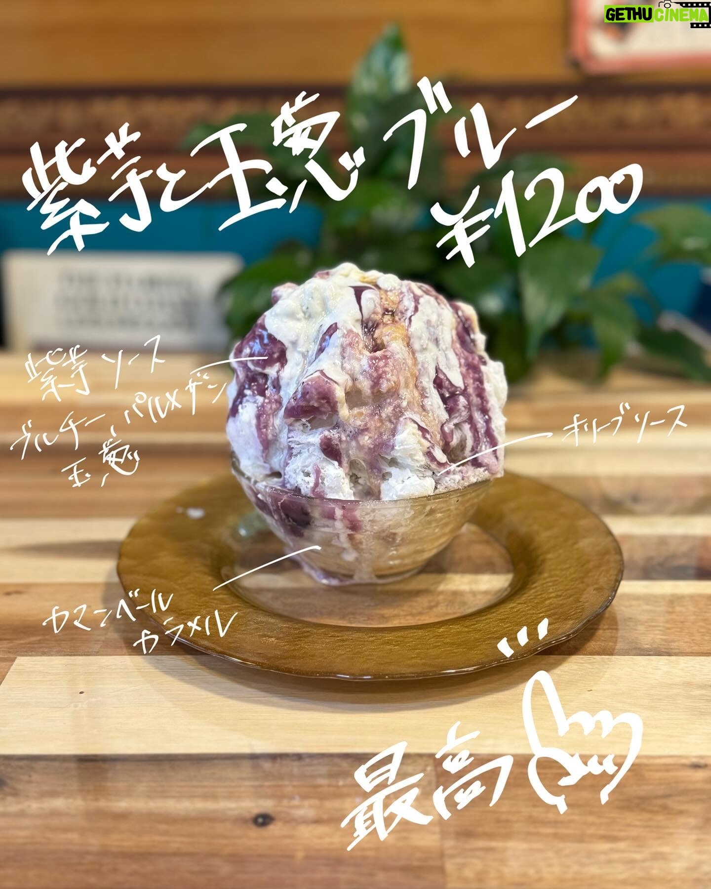 Shiki Aoki - 3.5K Likes - ⚠️時差投稿です⚠️
もはやインスタが氷アカウントと化しそうですが、この日もソロ活行ってまいりました
#甘味処いちょうの木 @kontomoko さん🍧
まず私事で恐縮ですが、12月26日(火)19時から放送の#さんま御殿 年末特大4時間SPに出演させていただきます!
8月に出演させていただいたばかりだったので、すぐにまた呼んでいただけるとは思っておらず…(というか自己肯定感地面にめり込んでるので、絶対に二度と呼んでもらえないだろうなとか思ってた)
ありがたい限りです
青木に興味がない方も、かき氷から青木を知ってくださった方もよろしければ是非ご覧ください🙇
ちなみにこのさんま御殿の収録直前もいちょうさんでかき氷食べてました…🤤🙏思い出のかき氷になった…
ということでまたしても新作氷が発表されていたのですが、新作にいきたい気持ちをぐっとこらえてこの日は大好きなリピ氷責めでいく!と決めておりました
決意は揺らぐことなく(いや新作みてちょっと揺らいだけど)選んだ三杯はこちら
◆シュトーレン(23)
先日食べた時に味わった生姜スライスの衝撃をもう一度確かめに、初戦指名
①メレンゲとトップにかかったキラキラの謎のアレを動画に納めること
②生姜スライスは調味してあるのか否かを確かめること
の2点をマストオーダーに掲げ、いざ実食
キラキラの謎のアレは動画じゃ伝えきれない😭生で見ないとわからないファンシーさなんよ…(動画は1番最後に載せてます!)
この日は初めて食べた時よりしっかり胡桃を感じられてより一層味の深み増した感がありました
初回は生姜に意識持っていかれすぎてたから冷静に食べる為にもリピートは必要な行為なのかもしれない
肝心の生姜スライスですが、生姜だけピックアップしてなるべく味わって食べてみたんだけど…
僕のあまりあてにならない舌の感覚では調味してないかも?という印象でした!
そもそも何か味をつける為にソースに浸したりなんだりで手を加えたら、あのサクサク食感にはならないのかも?と思ったり
結局のところ調味しててもしてなくても美味いことに変わりなし🤤🙏
底がこの日は多分チョコソースっぽくて(違ったらすみません🙇)前回とは違って甘々なまま完食まで到達するので、
甘党なわいはめちゃくちゃ嬉しかった…🥹🫶
底が前回と同じでも美味しいのは勿論なんだけど、ノンアルお任せ変更だとこうやって底が変わることもあるからリピートはこういう喜びもあるんやね…
◆紫芋と玉葱ブルー(24)
続いて2杯目はもう何回連続で食うんや!というこちら
もう完全に中毒です、はい。
禁断症状で気がついたら毎日摂取したくなってるやべー氷
もうこいつの事はこれからやべー氷と呼んでいくことにする(わいの中でしか通用せんのよ☝️)
この日はめちゃくちゃ大きなブルーチーズの塊が入ってて、ひとりで勝手に大吉引いたぐらいテンション上がってました
ブルチの巨大塊…お前だけ愛する…
オリーブソースゾーンでほんのり塩気を感じつつ、
カマンベールカラメルのほろ苦甘さが最高の組み合わせ
正直嫁と並ぶくらい、こんなにもお前に夢中になるなんて思ってもみなかったぜ…🥹
特にこの日はゆっくり味わいながら食べました
この子も嫁も、いつかメニューからなくなる日が来るんだよね…
今当たり前の様に在る全ての存在は当たり前なんかじゃなくて、
今僕の日常の中に存在してくれることに感謝しながら生きようと、僕はこの氷に教えられた気がします
無駄に壮大な話になってきました
◆パンプキンカマンベールパイ(25)
そしてリピ氷祭り開催といえば外せないこちら
やっぱり『嫁』なんだよなぁ…🤦
安定感がレベチ
構成の好み&メレンゲ菓子もたくさん食べられる贅沢セット
いちょうさん来たら絶対ひとつはメレンゲ菓子乗ってるやつ食べたいなって思ってるんだけど、毎回メレンゲ菓子足りない!!おかわり!って思うほど美味いので
メレンゲ菓子をたっぷり食べたい時にもぴったりの一杯です
底のオレオに辿り着くとまたハッピーな気持ちが倍増するお菓子中毒🍪
重そうな構成なのにわい的には全然重くなくて、
むしろ本当に全部が美味しすぎるから2杯食いたいくらい愛してる
いつも食べ終わるときに寂しくなっちゃうんだよなぁ😭もうなくなるよ〜って
この日はリピ氷祭りを開催したので、全員が優勝☝️
普段からお気に入りばかりずっと食べ続ける人間なので、同じのばっかり食べてて飽きない?ってよく言われるんだけど
いちょうさんの氷は特に「いつなくなるかわからない」っていうオプションがあるので余計に何度も食べておきたくなるんだよね🥺
なくなってからもっと食べとくんだった…って後悔したくないので、あるうちになるべくお気に入りはリピートする
でもこんなにも「お気に入り以外の新しい味も食べてみたい!」って思わせてくれるのはいちょうさんだからだなぁ
まだまだわいの知らない味がいっぱい眠っているお店です
胃袋がもっとデカければ…😭10杯くらい食べたいよ〜!
あといつかいちょうさんの可愛いおみやげお菓子シリーズにも出逢ってみたいですね…🤤
何度食べても感動する味でした🙇お邪魔しました!
#かき氷
#かきごおりすと
#かきごーらー