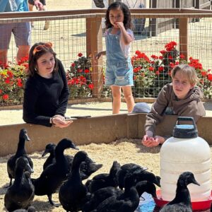 Shiloh Verrico Instagram - Such a fun Easter petting baby goats and ducks with my friend @lukebusey