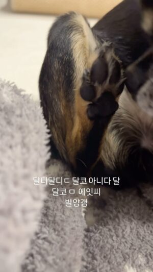 Shin Go-eun Instagram - 하
밤양갱 노래 너무 어렵지않아요?