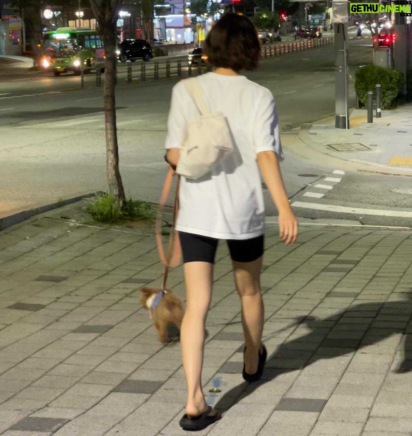 Shin Ji-hoon - 2.7K Likes - 사계절이 늘푸른 고코리에서 예쁜 옷들을 보내주셨어요!🙇🏻♀️