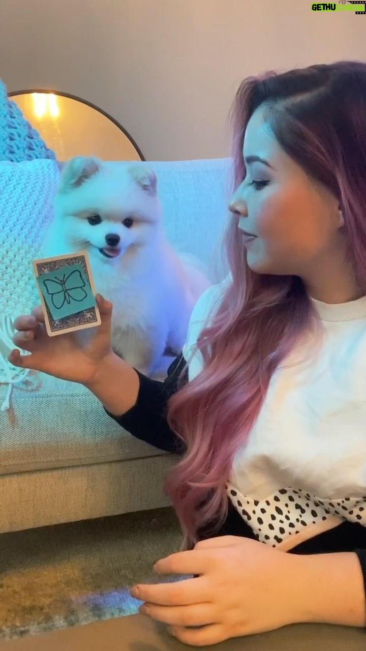 Shin Lim - 19.4K Likes - It’s NATSU’S birthday!