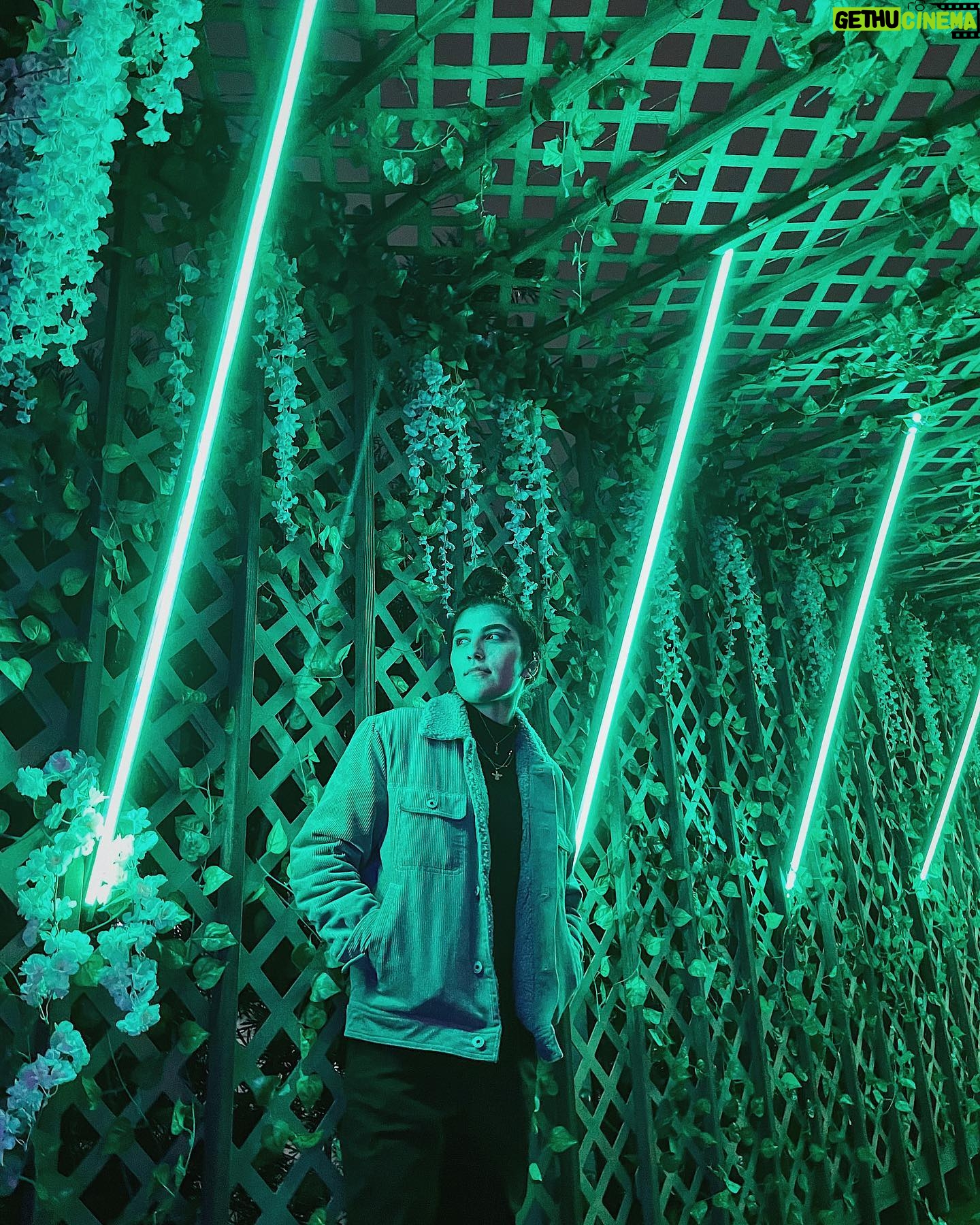Shiva Pishdad - 2.4K Likes - Lost in the lime-light