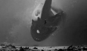 Shiyoon Kim Instagram - If #theseabeast was an old black and white film! Congratulations to the whole team and Chris Williams on the Annie and Oscar nominations***