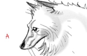 Shiyoon Kim Instagram - I had a blast exploring this white wolf in #pussinbootsthelastwish - Loved where it finally landed with @jesusalonsoiglesias ‘s fantastic design***