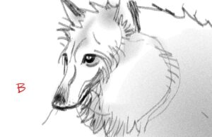 Shiyoon Kim Instagram - I had a blast exploring this white wolf in #pussinbootsthelastwish - Loved where it finally landed with @jesusalonsoiglesias ‘s fantastic design***