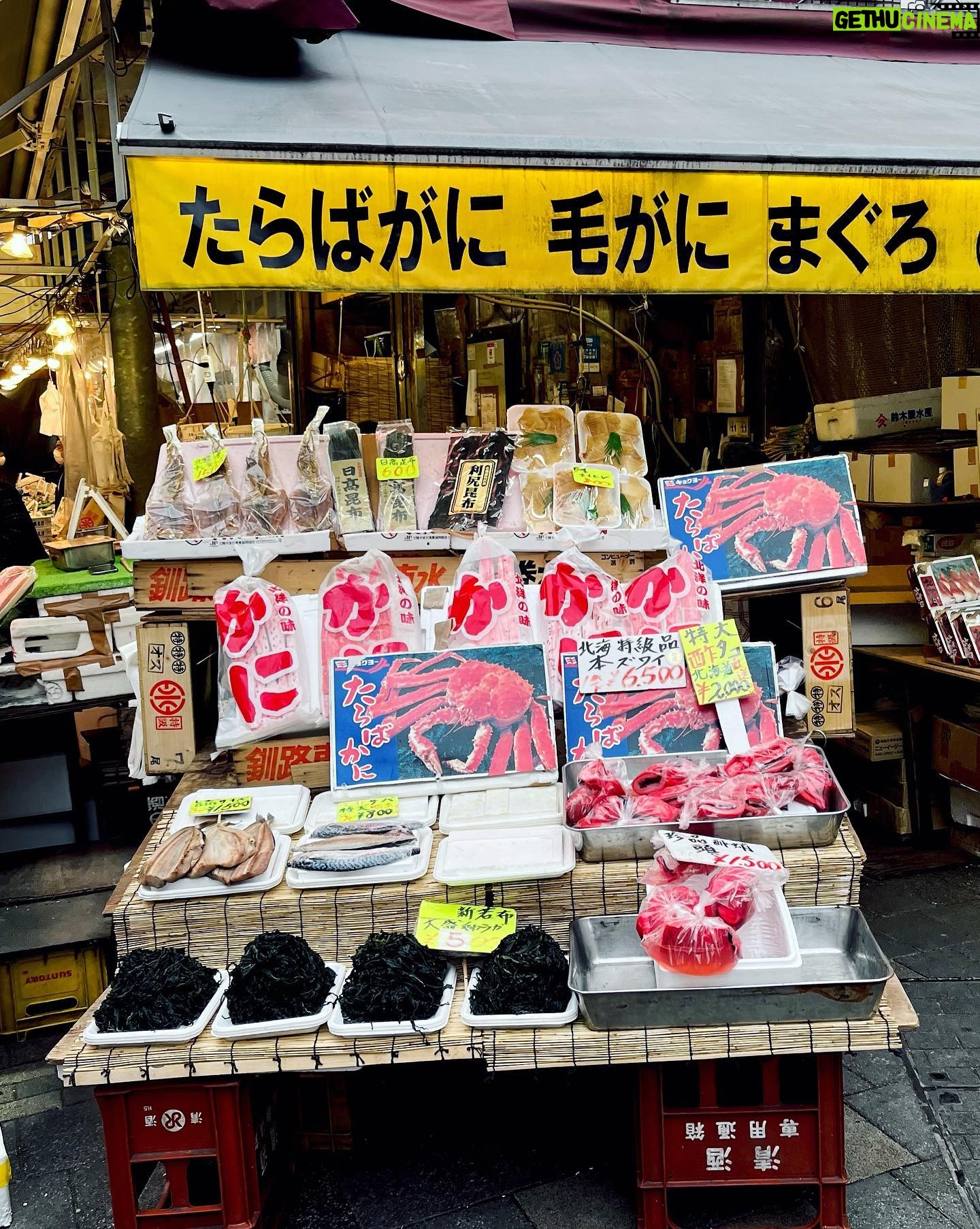Shizu Mizuno - 730 Likes - フライ かに🦀🦀🦀🦀🦀🦀🦀🦀🦀🦀🦀🦀
上野が何を祀っているのかというと、私は無職の人間だと思う。それがこの時期には満開になって地域全体を昼から酒飲んでオーケーそうなムードで多い尽くすのである程度健康によい。毎年こうなっている上野を散策します。これはある程度健康によいので。