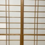 Shoya Chiba