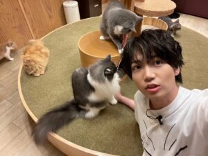Shoya Chiba Instagram - 猫カフェ楽しかったなぁ
「あやかしトライアングル」でお邪魔しました。

男性たった1人でしたが、皆さん親切にしてくださり、楽しく番組撮影させていただけました。

仲良くなった子たちにまた会いたいです
https://youtu.be/hUwWPqkLaP8

#あやかしトライアングル
#猫カフェ
#シロガネを探せ
#今日は6話