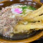 Shoya Chiba