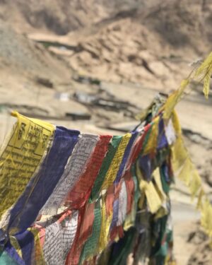 Shubhangi Tambale Instagram - One of my most favourite destinations to go 🗻
LEH - LADHAKH 

This was first flight of my life, for the first film I was doing 
#boyz2marathifilm 
Pangong lake, night sky full of stars, chilled breeze and peaceful waves 🌊 

Also I was getting paid to experience all of this 🤩😛
I manifested few things in Leh in 2018 which is my reality now 😍(you can see wishing rocks stacks in one of the pictures) here I was just 19 yrs old, young,naive - I had no idea what life has planned for me ♥️
But now when I look back, I feel proud of my achievements, my experiences, my decisions!
 I love who I am today 🙃🌈⚡️🍃🥀

#lehladakh #lehladakhdiaries #leh #ladakh #pangonglake #beautifuldestinations #favourite #peace #mustgo