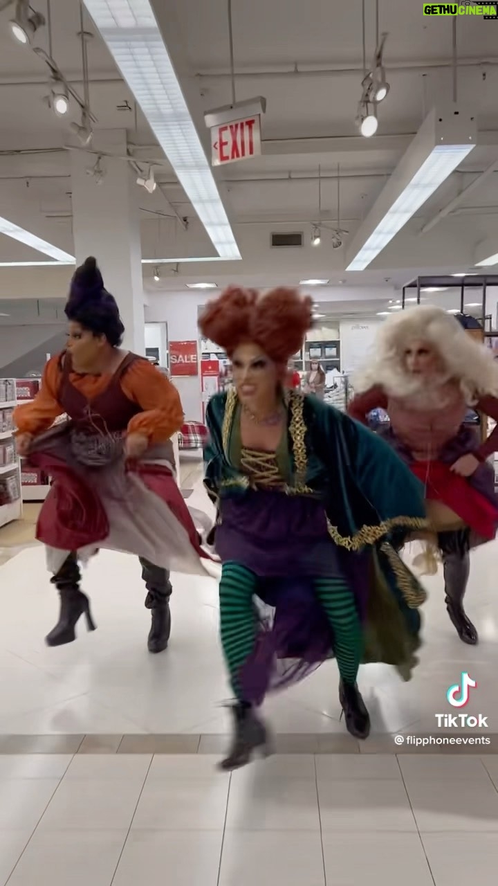 Shuga Cain - 211.5K Likes - Opening day of @flipphoneevents #dragbrunch at @stella34macys was a huge success! Thank you @macys @flipphoneevents @sashacassadine @martigcummings @peachez.nyc for such an amazing time. Can’t wait for another #soldout show tomorrow! #hocuspocus
