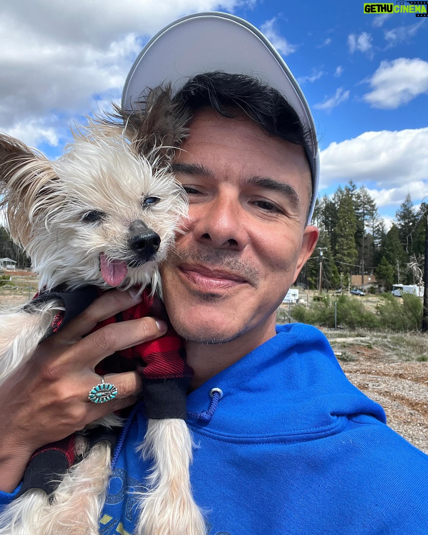 Shuga Cain - 2.8K Likes - Today my little angel would have been 18 years old! He was my little shadow and my best friend! I miss you every single day, Maceo. Thank you for giving me the best 17 years! I love you, so! Happy Birthday Little One!