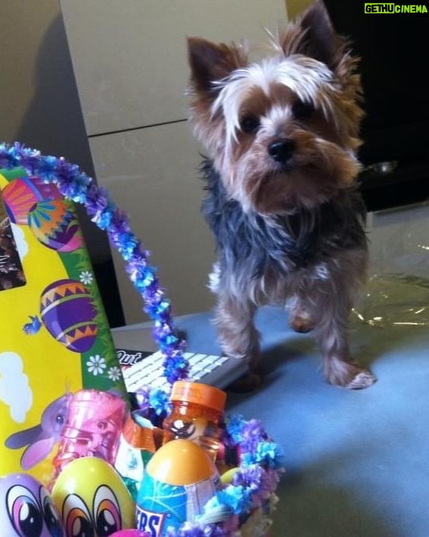 Shuga Cain - 2.8K Likes - Today my little angel would have been 18 years old! He was my little shadow and my best friend! I miss you every single day, Maceo. Thank you for giving me the best 17 years! I love you, so! Happy Birthday Little One!