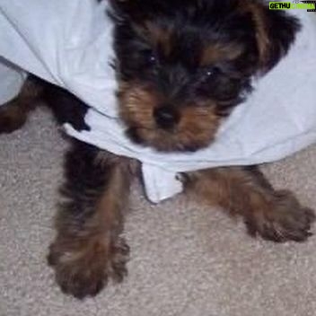 Shuga Cain - 2.8K Likes - Today my little angel would have been 18 years old! He was my little shadow and my best friend! I miss you every single day, Maceo. Thank you for giving me the best 17 years! I love you, so! Happy Birthday Little One!