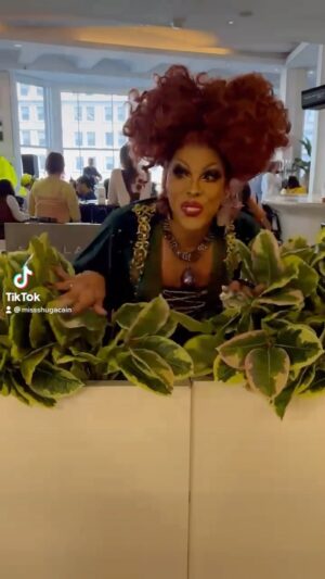Shuga Cain Instagram - I Smell A Child! @flipphoneevents #hocuspocus #dragbrunch @stella34macys #nyc #halloween