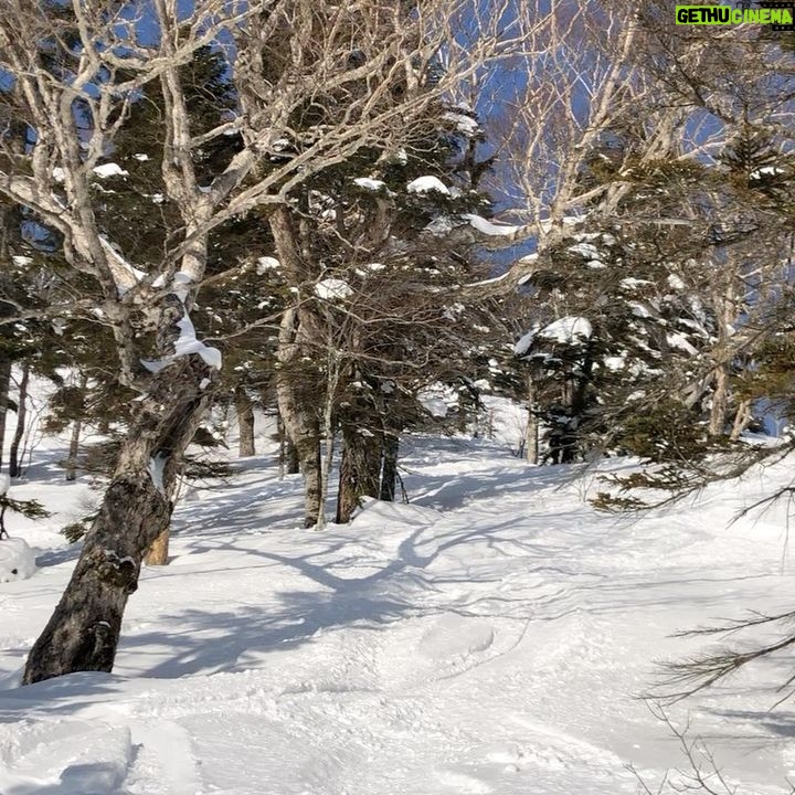 Shuhei Nomura - 100.6K Likes - 暑くなってきたんで脱ぎました。