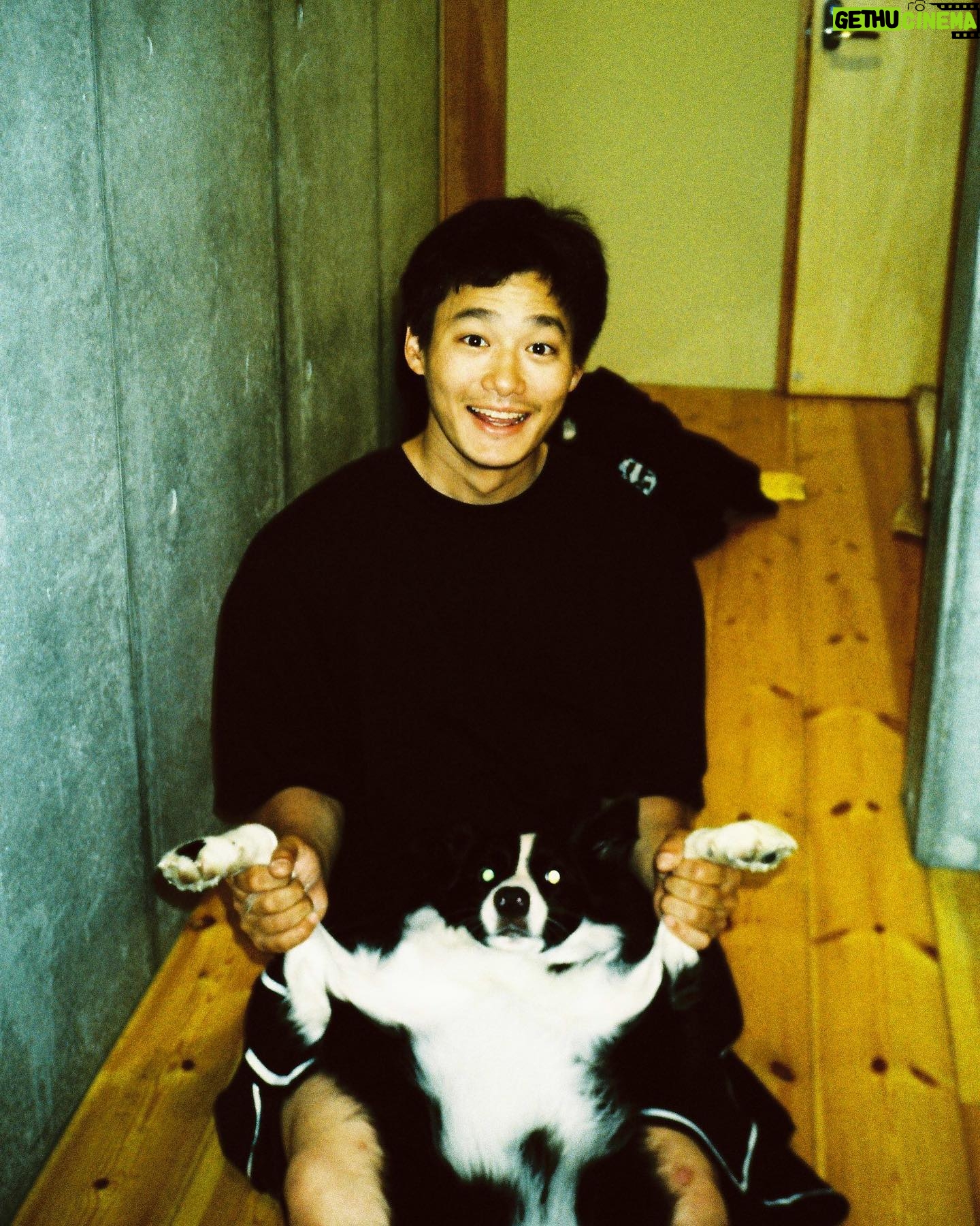 Shuhei Nomura - 106.5K Likes - 犬たん