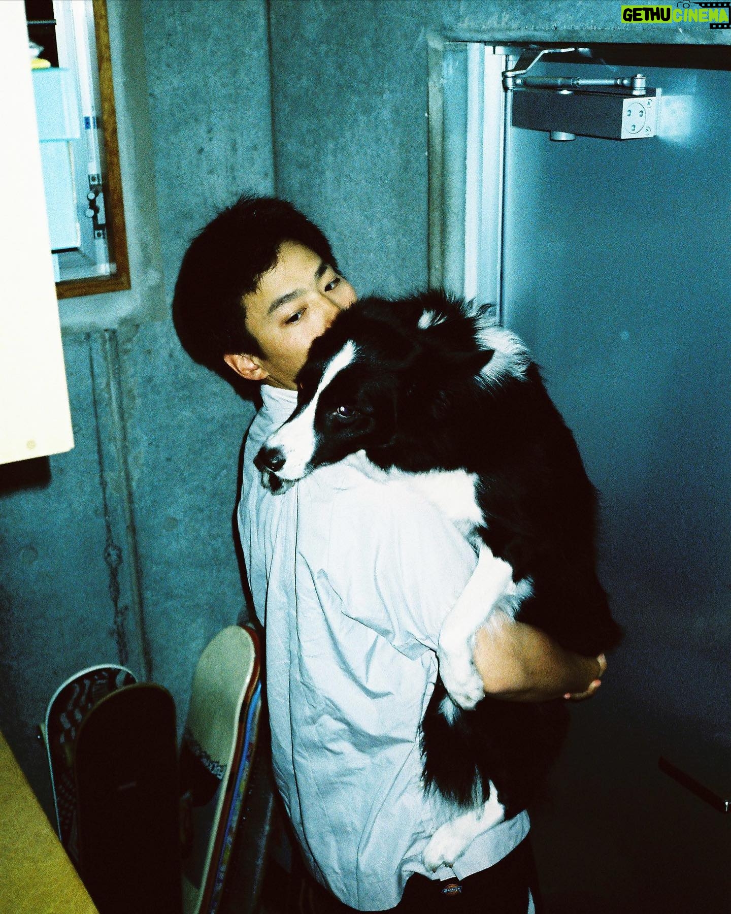 Shuhei Nomura - 109.5K Likes - 5歳