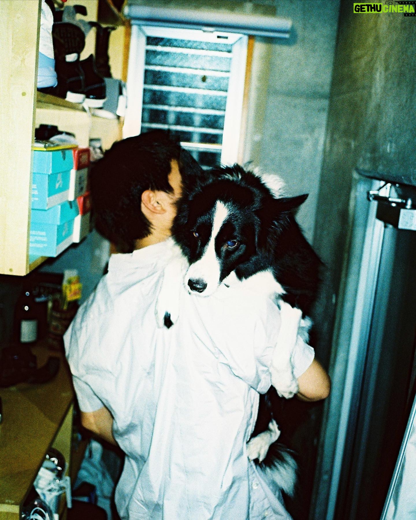 Shuhei Nomura - 109.5K Likes - 5歳
