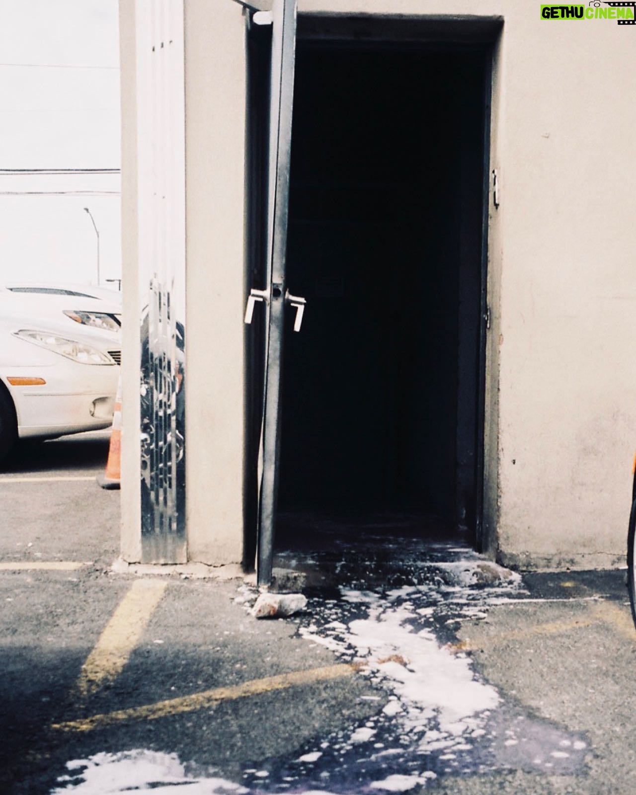 Shuhei Uesugi - 5.8K Likes - NewYork/2019