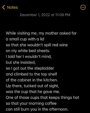 Shungudzo Instagram - While visiting me, my mother asked for
a small cup with a lid
so that she wouldn’t spill red wine
on my white bed sheets.
I told her I wouldn’t mind,
but she insisted,
so I got out the stepladder
and climbed to the top shelf
of the cabinet in the kitchen.
Up there, tucked out of sight,
was the cup that he gave me.
One of those cups that keeps things hot
so that your morning coffee
can still burn you in the afternoon.
I got rid of everything else we shared.
I kissed some things goodbye and
drove them to Goodwill.
I threw some things in the trash
and dragged them to the curb.
I slowly replaced everything
we called “ours”
with objects with no memories of mine.
They say if you can, you should,
but this cup, I decided, could stay.
I don’t know why, but I kept it.
I hid it.
I forgot it.
One large cupful of hurting
to drink down or drain out.
Twelve trapped ounces of healing
that I didn’t yet know how to do.
I baptized the cup 
with soap and water 
and handed it to my mother.
I remarked about its colors
and made some joke about
how at least he had good tastes.
She laughed and poured herself
a bedtime glass of wine.
Every night for five nights,
my mother drank wine from the cup.
Every morning for four mornings,
she washed it out and set it to dry.
On her last morning here,
she left it on the bedside table.
Upon discovering it, I instantly knew
that something about it was different,
but it wasn’t until I walked it to the kitchen
and scrubbed it clean
that I realized what had changed.
Today, looking at it on the drying rack,
it is still changed.
It is no longer the cup he gave me.
It is the cup my mother drinks wine from.
I am no longer the woman I was.
I am the woman that I am.
I got rid of everything else we shared.
Maybe I just needed to make new
memories with it.
Or maybe I did it all right —
letting go of the big things but
keeping something small so that,
someday,
my mother would use it
to show me that I am
all mine again.