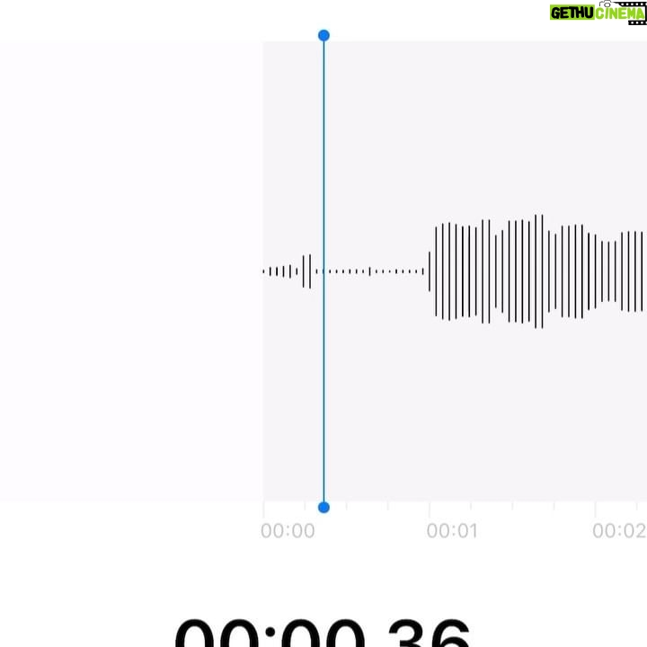 Shungudzo - 484 Likes - Let’s go to a protest then make love in the shower.
