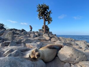 Siân Heder Instagram - Absolutely epic trip to the Galápagos Islands guided by @naturalhabitatadventures. I’m totally floored by these islands and the intense conservation effort on the part of Ecuador to protect them and the animals that live there. Grateful to our guides @karlamalomar and @vmarurim! I feel so lucky to have been able to take this trip. And my IG might now be forever devoted to sea lions and blue footed boobies…